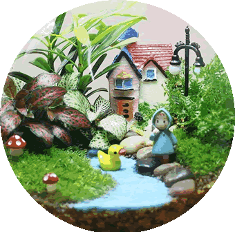 Fairy Garden Scene