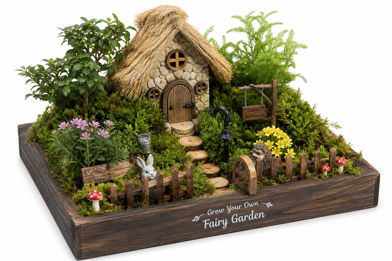How Do You Make a Fairy Garden