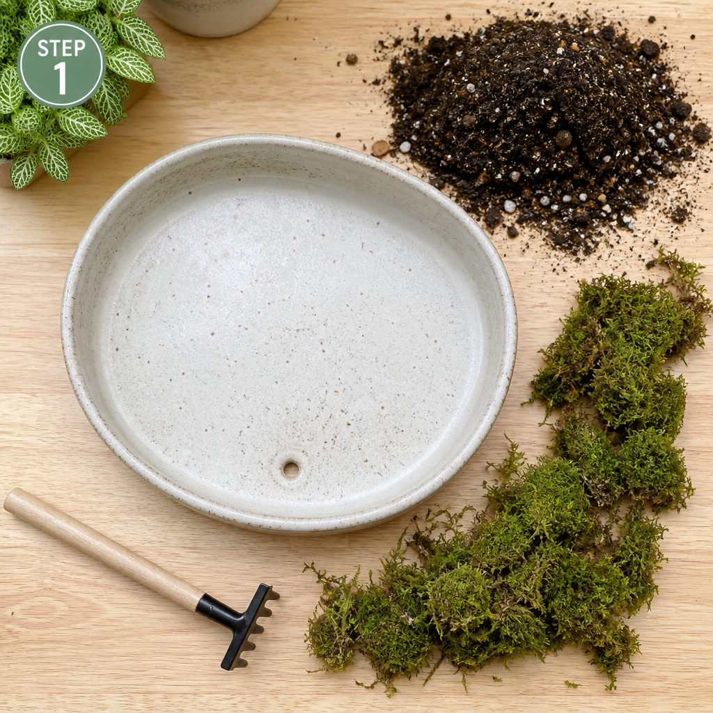 Step 1: prepare tray, soil, and moss for the micro landscape kit
