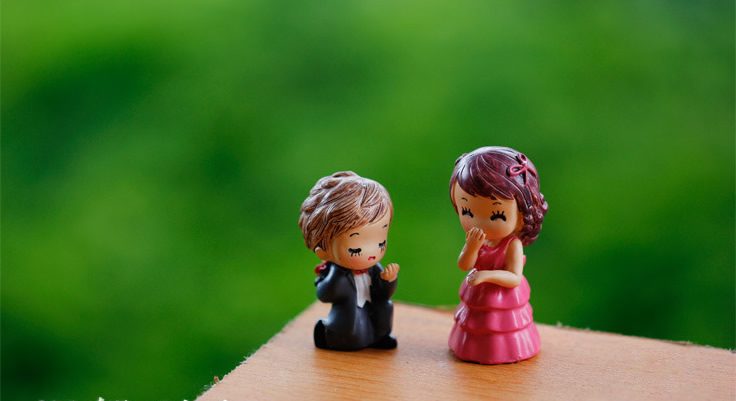 Lovers Fairy Garden Decoration Fairy Garden Accessories Wedding Propose Moss Fairy Garden Micro Landscape Miniature Garden Resin Bride And Groom Small - 描述图 1