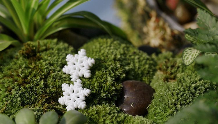 Moss Fairy Garden Micro Landscape Miniature Garden Landscaping Fairy Garden Decoration Fairy Garden Accessories Big Small Christmas Snowflake Resin - 描述图 6