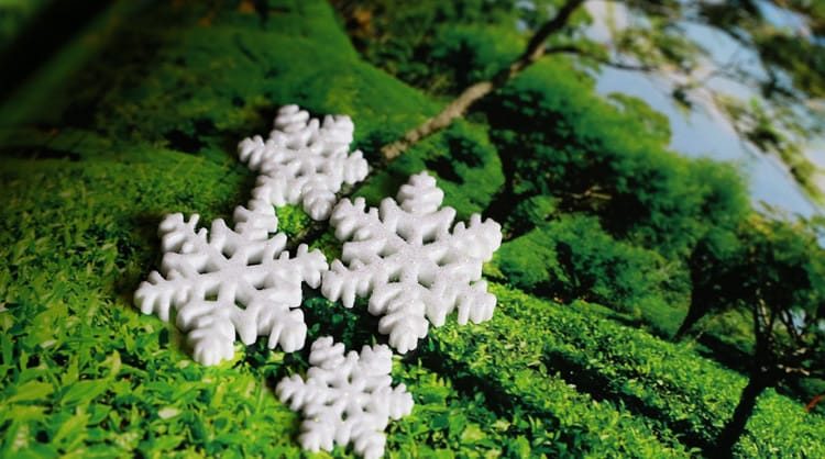 Moss Fairy Garden Micro Landscape Miniature Garden Landscaping Fairy Garden Decoration Fairy Garden Accessories Big Small Christmas Snowflake Resin - 描述图 2