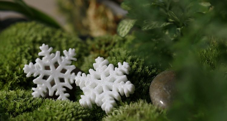 Moss Fairy Garden Micro Landscape Miniature Garden Landscaping Fairy Garden Decoration Fairy Garden Accessories Big Small Christmas Snowflake Resin - 描述图 3
