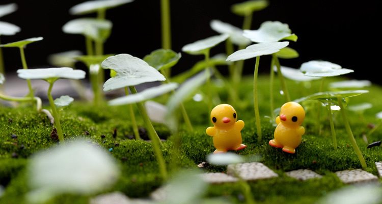 Cute Fairy Garden Duck Resin Animals Figurine Micro Moss Landscape Fairy Garden Home Decor Doll House Ornaments Miniature Craft Diy Container Accessories Wholesale Supplies - 描述图 2