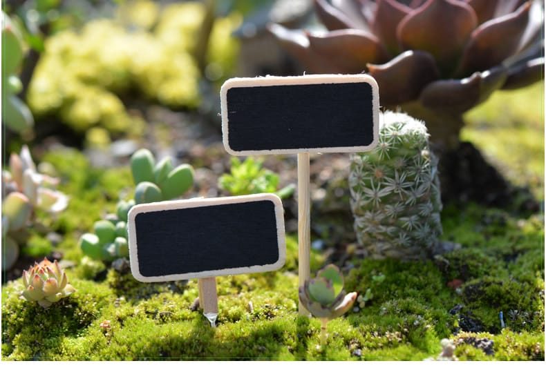 Moss Fairy Garden Micro Landscape Miniature Garden Fairy Garden Decoration Fairy Garden Accessories Fairy Garden Ornament Fleshy Wood Small Blackboard Original - 描述图 1