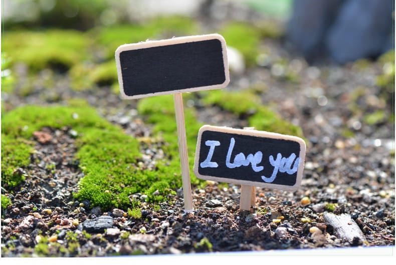 Moss Fairy Garden Micro Landscape Miniature Garden Fairy Garden Decoration Fairy Garden Accessories Fairy Garden Ornament Fleshy Wood Small Blackboard Original - 描述图 2