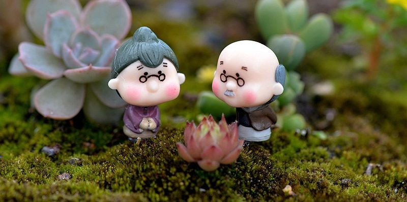Moss Fairy Garden Micro Landscape Miniature Garden Fairy Garden Decoration Fairy Garden Accessories Grandpa Grandma Original Doll Diy Assemble - 描述图 1