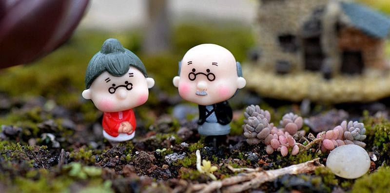 Moss Fairy Garden Micro Landscape Miniature Garden Fairy Garden Decoration Fairy Garden Accessories Grandpa Grandma Original Doll Diy Assemble - 描述图 3