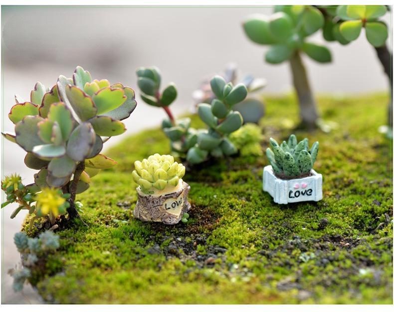 Grocery Moss Micro Landscape Jewelry Fleshy Doll Ornaments Love Fleshy Ornaments Diy Material - 描述图 3