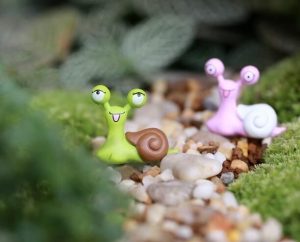 Mini Fairy Garden Kits Micro Landscape Miniature Garden Terrariums Fairy Garden Lovely Exophthalmos Snail Lovers Snail Doll Toys Fleshy Pot Bonsai Fairy Garden Decoration Wholesale Fairy Garden Accessories Supplies