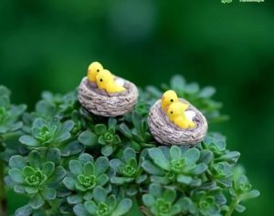 Mini Fairy Garden Bird Oriole Micro Landscape Miniature Garden Fairy Garden Decoration Fairy Garden Accessories Lovely Birds Small Cartoon Mini Fairy Garden Ornament Terrariums Bonsai Resin Nest