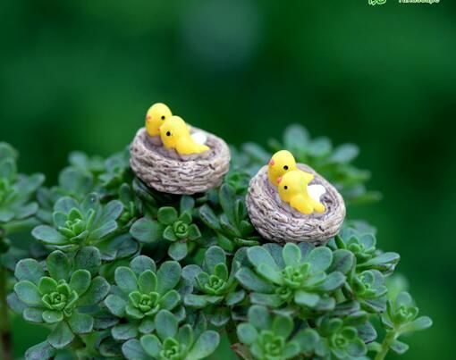 Mini Fairy Garden Bird Oriole Micro Landscape Miniature Garden Fairy Garden Decoration Fairy Garden Accessories Lovely Birds Small Cartoon Mini Fairy Garden Ornament Terrariums Bonsai Resin Nest