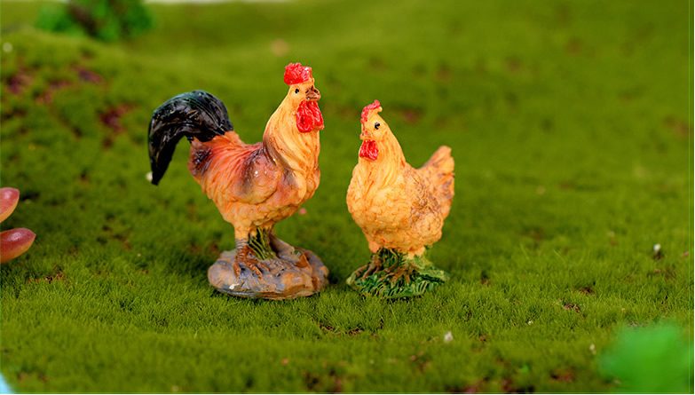 Mini Fairy Garden Animals Resin Cock And Hen Model Wholesale Fairy Garden Accessories Supplies Mini Fairy Garden Ornament Small Artificial Chicken Rooster Figurine Kids Gifts Terrarium Fairy Garden Kits Decoration Room Decor - 描述图 5