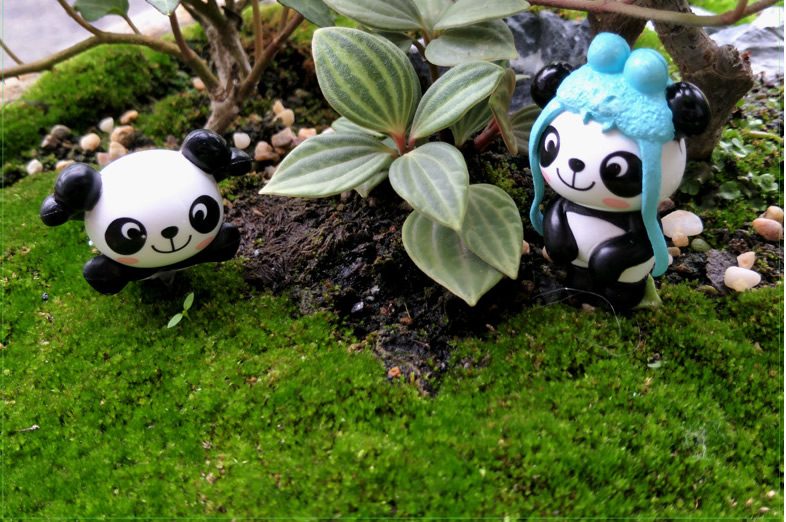 Miniture Fairy Garden Accessories Supplies Resin Cartoon Panda Figurine Toys Pot Bonsai Miniature Garden Terrariums Fairy Garden Animals Kits Items Car Interior Decoration Table Ornaments - 描述图 4