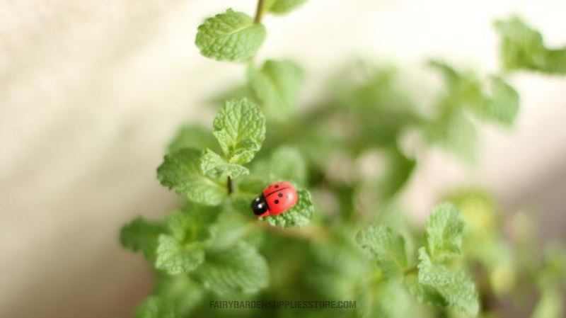 Mini Fairy Garden Ladybird Red Beetle Ladybug Fairy Doll Micro Landscape Decoration Fairy Garden Accessories Wood Craftwork Beetle Coccinella Septempunctata Small Ladybird Diy Fairy Garden Supplies - 描述图 2