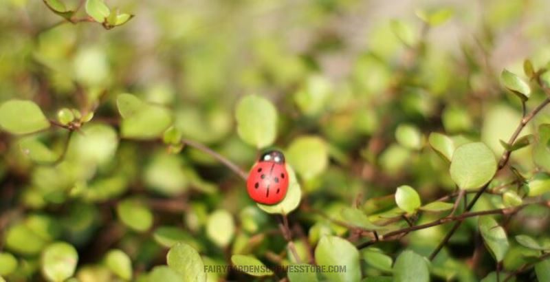 Mini Fairy Garden Ladybird Red Beetle Ladybug Fairy Doll Micro Landscape Decoration Fairy Garden Accessories Wood Craftwork Beetle Coccinella Septempunctata Small Ladybird Diy Fairy Garden Supplies - 描述图 3
