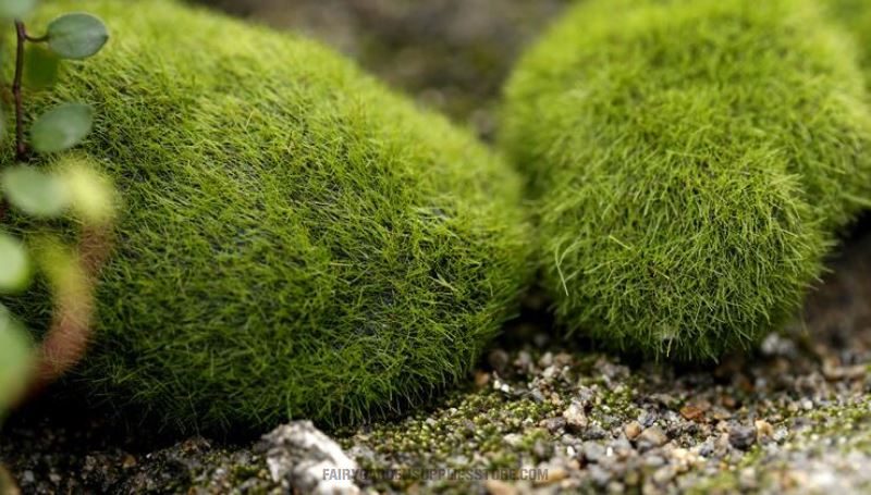 Emulational Moss Stone Flocking Stone Imitation Stone Bonsai Moss Lawn Fairy Garden Micro Landscape Aquarium Miniature Fairy Garden Decoration Fairy Garden Accessories - 描述图 1