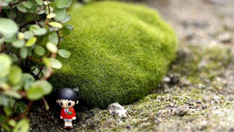 Emulational Moss Stone Flocking Stone Imitation Stone Bonsai Moss Lawn Fairy Garden Micro Landscape Aquarium Miniature Fairy Garden Decoration Fairy Garden Accessories - 描述图 4