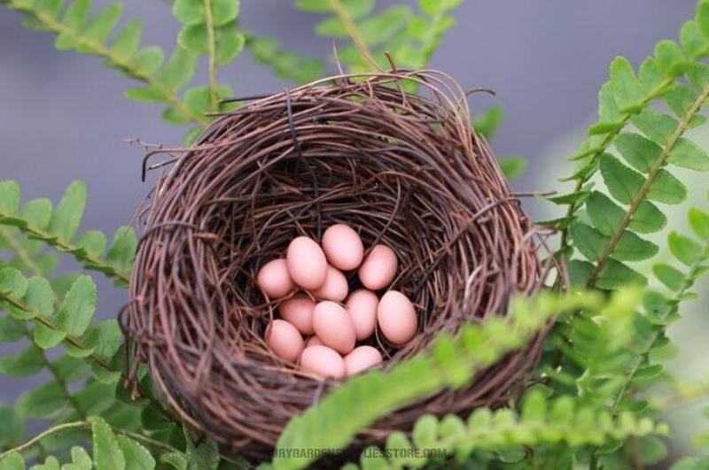 Mini Fairy Garden Birds Nest Decoration Fairy Garden Accessories Happy Birds Nest Birds Egg Diy Fairy Garden Accessories Terrarium Bird Nest Bonsai Fairy Garden Ornament - 描述图 4