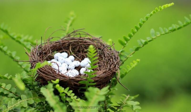 Mini Fairy Garden Birds Nest Decoration Fairy Garden Accessories Happy Birds Nest Birds Egg Diy Fairy Garden Accessories Terrarium Bird Nest Bonsai Fairy Garden Ornament - 描述图 3