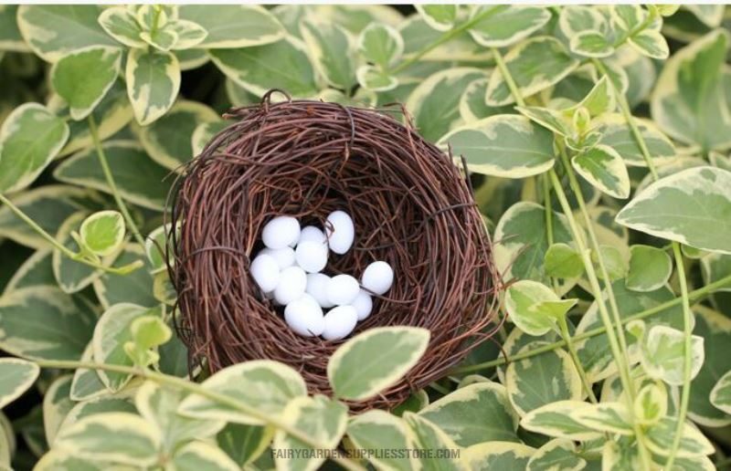 Mini Fairy Garden Birds Nest Decoration Fairy Garden Accessories Happy Birds Nest Birds Egg Diy Fairy Garden Accessories Terrarium Bird Nest Bonsai Fairy Garden Ornament - 描述图 2