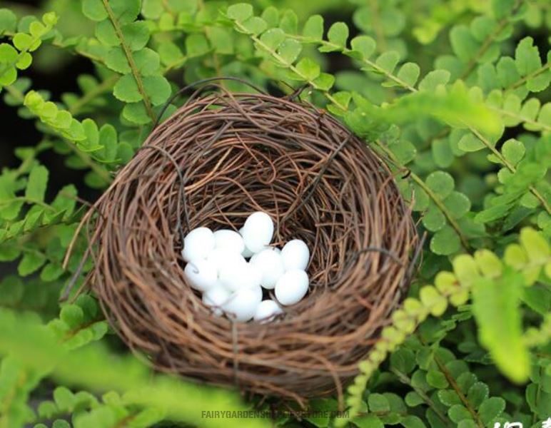 Mini Fairy Garden Birds Nest Decoration Fairy Garden Accessories Happy Birds Nest Birds Egg Diy Fairy Garden Accessories Terrarium Bird Nest Bonsai Fairy Garden Ornament - 描述图 1