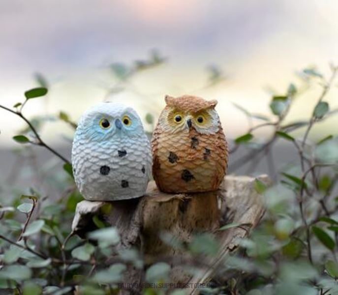 Terrariums Fairy Garden Owls Mini Fairy Garden Decoration Indoor Fairy Garden Accessories Feather Owls 4 Colour Desktop Toy Figurine Birds Succulent Plants Car Decoration Computer Ornament - 描述图 1