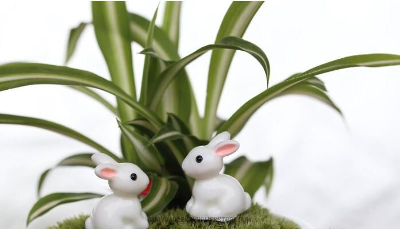 Lovely Miniature Fairy Garden Accessories Terrariums Mini Rabbit Resin Fairy Ornament Bonsai Flower Plant Pot Home Figurine Animal Decor Supply Desk Office Room Decor Cartoon Child Gift - 描述图 1