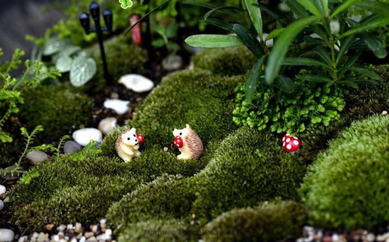 Miniatures Hedgehog With Fruits Mushroom Terrarium Fairy Garden Accessories Decor Figurines Mini Garden Decoration Hedgehog Fairy Garden Chair Craft Decoration Terrarium Bonsai Figurine Toy For Kids - 描述图 3