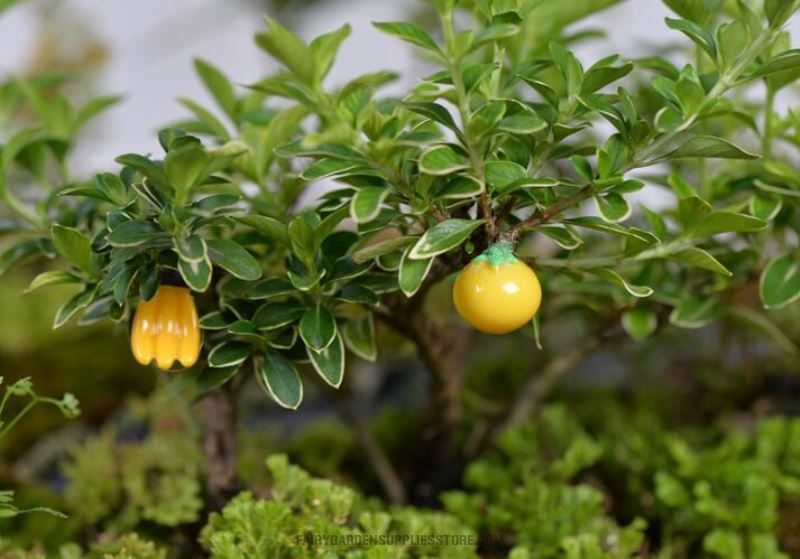 Mini Fairy Garden Fruits Micro Landscape Miniature Garden Decorate Fairy Garden Decoration Fairy Garden Accessories Artificial Apple Banana Plant Groceries Emulational Styles - 描述图 3