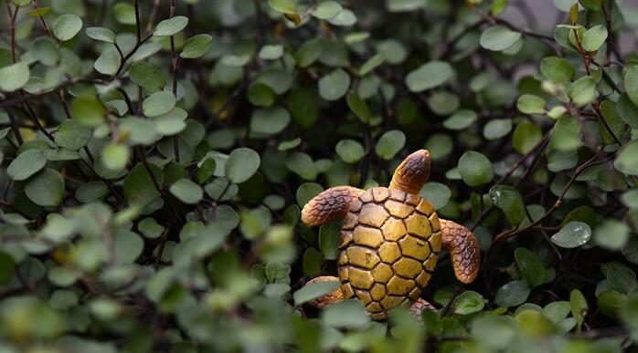 Cute Moss Fairy Garden Turtles Micro Landscape Miniature Garden Succulent Plants Animals Fairy Garden Decoration Terrariums Fairy Garden Accessories Toy Figurine Resin Tortoise Diy Material Doll - 描述图 5