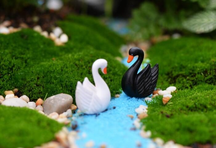 Mini Resin Black White Feather Swan Pot Bonsai Fairy Garden Accessories Birds Micro Landscape Miniature Garden Terrariums Fairy Garden Decoration Artificial Fairy Garden Ornament Child Gift Resin Crafts Accessories Decor Animals - 描述图 4