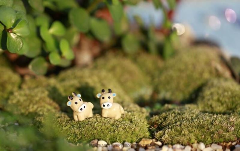 Mini Fairy Garden Cattle Micro Landscape Miniature Garden Pot Bonsai Fairy Garden Ornament Small Cow Doll Combination Diy Assemble Resin Terrariums Fairy Garden Decoration Wholesale Fairy Garden Accessories Supplies - 描述图 1