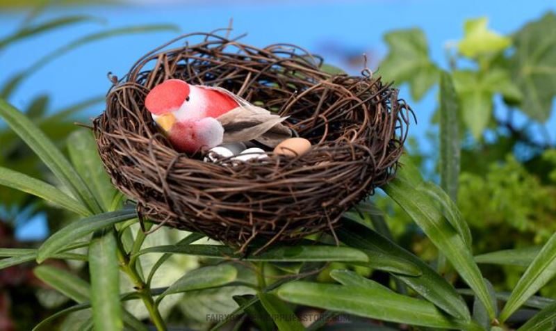 Mini Fairy Garden Animals Birds Nest Resin Eggs Pot Bonsai Micro Landscape Miniature Garden Terrariums Fairy Garden Decoration Wholesale Fairy Garden Accessories Tree Diy Material Decorate Landscaping Emulational Small Birds - 描述图 5