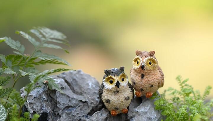 Mini Fairy Garden Supplies Resin Birds Pot Bonsai Micro Landscape Miniature Garden Original Green Plants Gift Resin Exposed Foot Owls Decorate Animal Terrariums Fairy Garden Decoration Wholesale Fairy Garden Accessories Supplies - 描述图 1