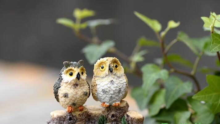 Mini Fairy Garden Supplies Resin Birds Pot Bonsai Micro Landscape Miniature Garden Original Green Plants Gift Resin Exposed Foot Owls Decorate Animal Terrariums Fairy Garden Decoration Wholesale Fairy Garden Accessories Supplies - 描述图 2