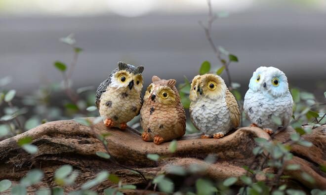Mini Fairy Garden Supplies Resin Birds Pot Bonsai Micro Landscape Miniature Garden Original Green Plants Gift Resin Exposed Foot Owls Decorate Animal Terrariums Fairy Garden Decoration Wholesale Fairy Garden Accessories Supplies - 描述图 3