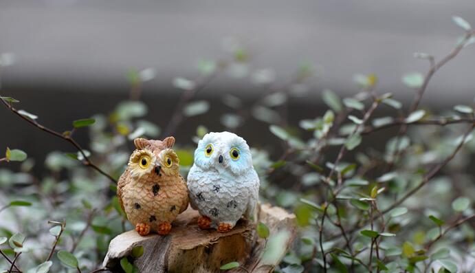 Mini Fairy Garden Supplies Resin Birds Pot Bonsai Micro Landscape Miniature Garden Original Green Plants Gift Resin Exposed Foot Owls Decorate Animal Terrariums Fairy Garden Decoration Wholesale Fairy Garden Accessories Supplies - 描述图 4
