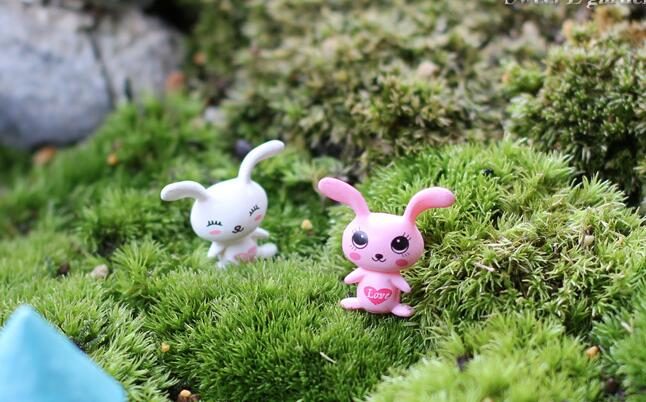 Mini Moss Fairy Garden Animals Pot Bonsai Micro Landscape Miniature Garden Terrariums Fairy Garden Decoration Wholesale Fairy Garden Accessories Supplies Lovely Mini Love Big Ears Rabbit Diy Assemble Small Kids Toys - 描述图 4