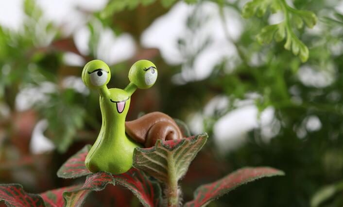 Mini Fairy Garden Kits Micro Landscape Miniature Garden Terrariums Fairy Garden Lovely Exophthalmos Snail Lovers Snail Doll Toys Fleshy Pot Bonsai Fairy Garden Decoration Wholesale Fairy Garden Accessories Supplies - 描述图 1