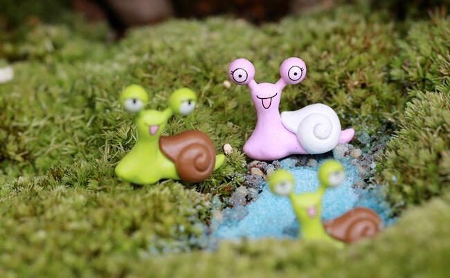 Mini Fairy Garden Kits Micro Landscape Miniature Garden Terrariums Fairy Garden Lovely Exophthalmos Snail Lovers Snail Doll Toys Fleshy Pot Bonsai Fairy Garden Decoration Wholesale Fairy Garden Accessories Supplies - 描述图 4