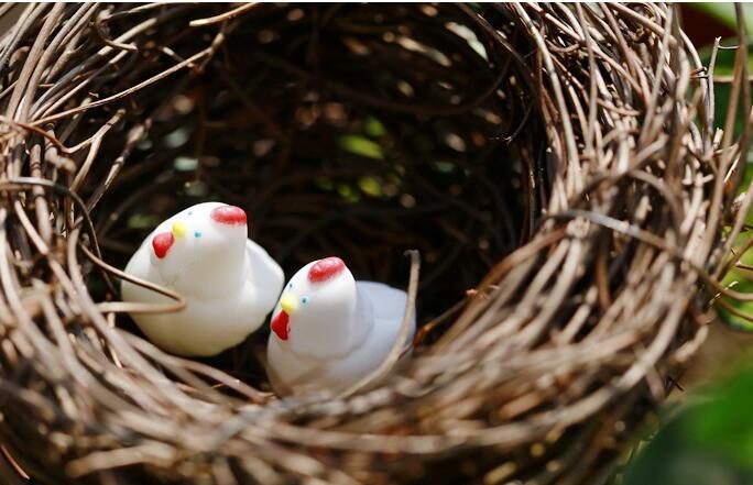 Mini Fairy Garden Animals Resin Cock And Hen Pot Bonsai Micro Landscape Miniature Garden Ecology Bottle Emulational White Small Chicken Resin Fairy Garden Decoration Terrariums Wholesale Fairy Garden Accessories Animals - 描述图 1