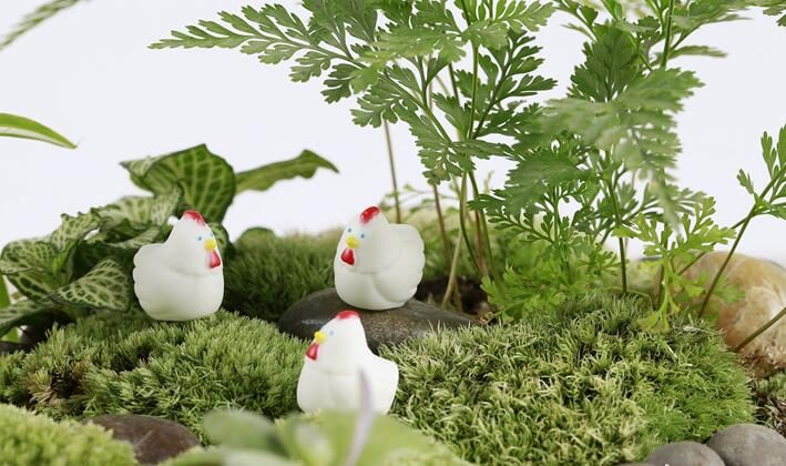 Mini Fairy Garden Animals Resin Cock And Hen Pot Bonsai Micro Landscape Miniature Garden Ecology Bottle Emulational White Small Chicken Resin Fairy Garden Decoration Terrariums Wholesale Fairy Garden Accessories Animals - 描述图 2