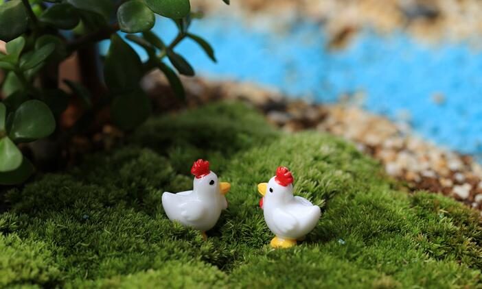 Mini Fairy Garden Animals Resin Cock And Hen Pot Bonsai Micro Landscape Miniature Garden Ecology Bottle Emulational White Small Chicken Resin Fairy Garden Decoration Terrariums Wholesale Fairy Garden Accessories Animals - 描述图 3