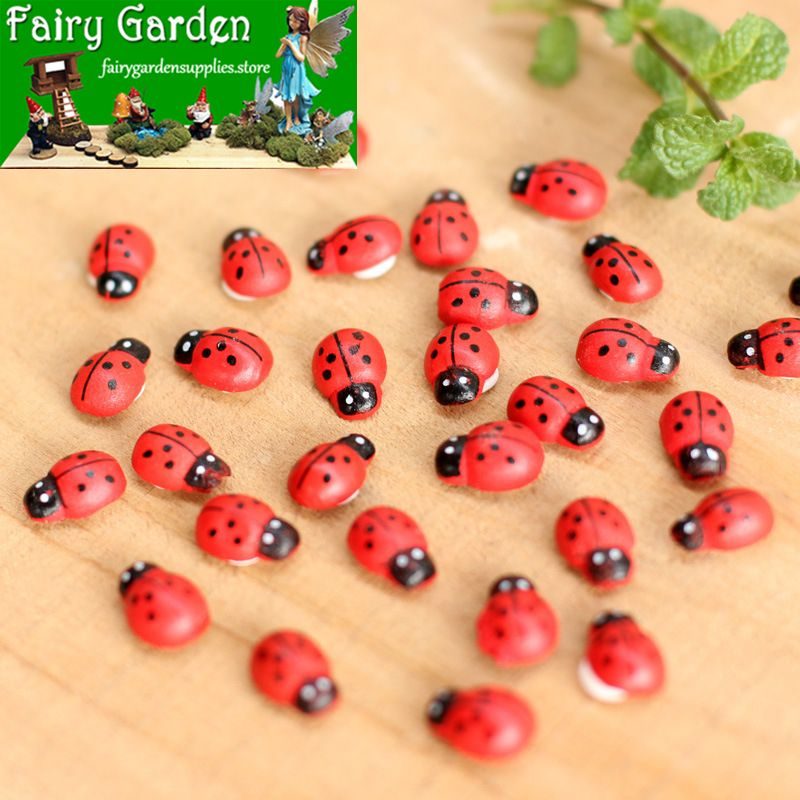 Mini Fairy Garden Ladybird Red Beetle Ladybug Fairy Doll Micro Landscape Decoration Fairy Garden Accessories Wood Craftwork Beetle Coccinella Septempunctata Small Ladybird Diy Fairy Garden Supplies Mini Fairy Garden Ladybird Red Beetle Ladybug Fairy Doll Micro Landscape Decoration Fairy Garden Accessories Wood Craftwork Beetle Coccinella Septempunctata Small Ladybird Diy Fairy Garden Supplies