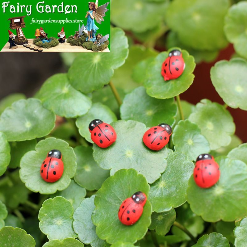 Mini Fairy Garden Ladybird Red Beetle Ladybug Fairy Doll Micro Landscape Decoration Fairy Garden Accessories Wood Craftwork Beetle Coccinella Septempunctata Small Ladybird Diy Fairy Garden Supplies Mini Fairy Garden Ladybird Red Beetle Ladybug Fairy Doll Micro Landscape Decoration Fairy Garden Accessories Wood Craftwork Beetle Coccinella Septempunctata Small Ladybird Diy Fairy Garden Supplies