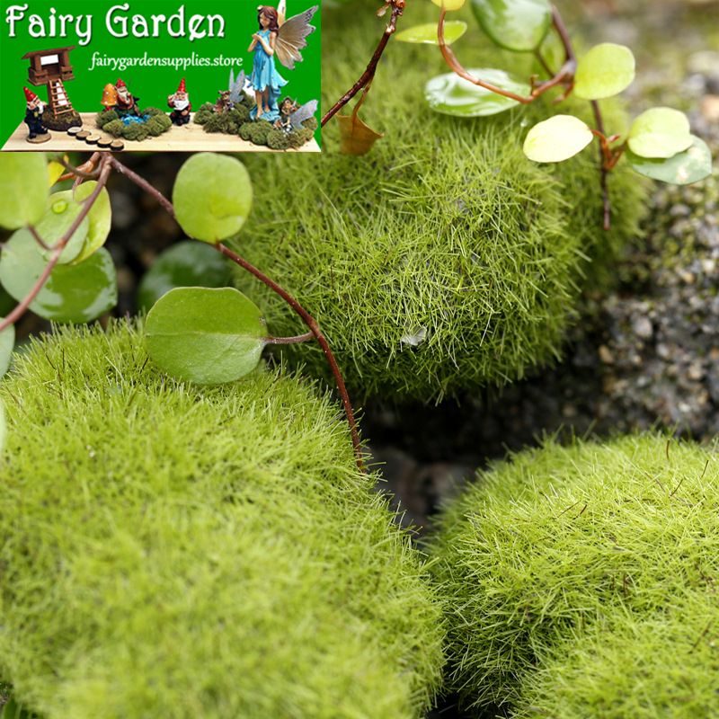Emulational Moss Stone Flocking Stone Imitation Stone Bonsai Moss Lawn Fairy Garden Micro Landscape Aquarium Miniature Fairy Garden Decoration Fairy Garden Accessories Emulational Moss Stone Flocking Stone Imitation Stone Bonsai Moss Lawn Fairy Garden Micro Landscape Aquarium Miniature Fairy Garden Decoration Fairy Garden Accessories