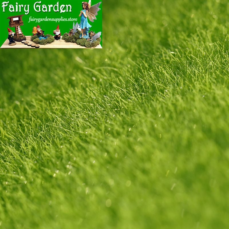 Fairy Garden Micro Landscape Miniature Garden Original Emulational Moss Imitation Moss Ecology Bottle Decorate Lawn Moss Imitation Fairy Garden Micro Landscape Miniature Garden Original Emulational Moss Imitation Moss Ecology Bottle Decorate Lawn Moss Imitation