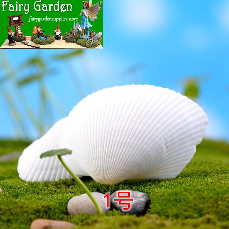 5psConch Shell Starfish Coral reef Small yellow shell White NaturalSeascape Fairy Garden Accessories Fairy Garden Micro Landscape Miniature Garden Fairy Garden Decoration Fairy Garden Accessories 5Psconch Shell Starfish Coral Reef Small Yellow Shell White Naturalseascape Fairy Garden Accessories Fairy Garden Micro Landscape Miniature Garden Fairy Garden Decoration Fairy Garden Accessories