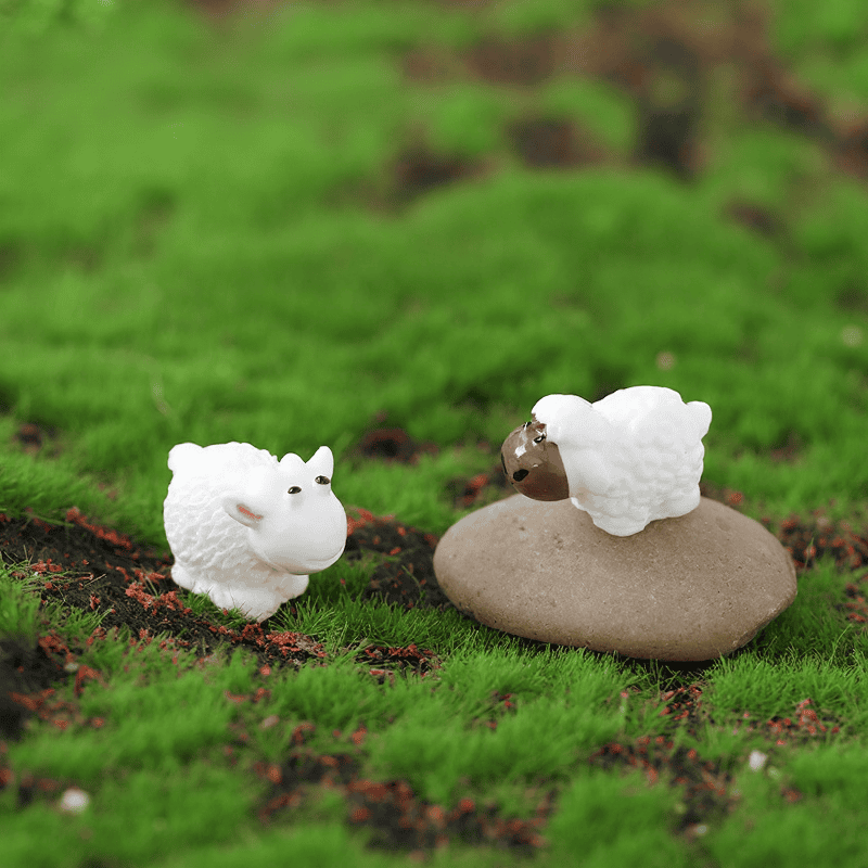 Lovers Ssheep Statue White Sheep Figurine Small Sheep Metoo Shaun Sheep Moss Fairy Garden Animals Micro Landscape Miniature Garden Fairy Garden Decoration Wholesale Fairy Garden Accessories Supplies Resin Fairy Garden Ornament Lovers Ssheep Statue White Sheep Figurine Small Sheep Metoo Shaun Sheep Moss Fairy Garden Animals Micro Landscape Miniature Garden Fairy Garden Decoration Wholesale Fairy Garden Accessories Supplies Resin Fairy Garden Ornament